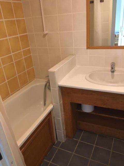 Appartement 4 Personnes Avec Piscine, Wifi, Garage Besse-et-Saint-Anastaise Extérieur photo