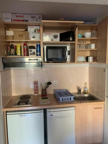Appartement 4 Personnes Avec Piscine, Wifi, Garage Besse-et-Saint-Anastaise Extérieur photo